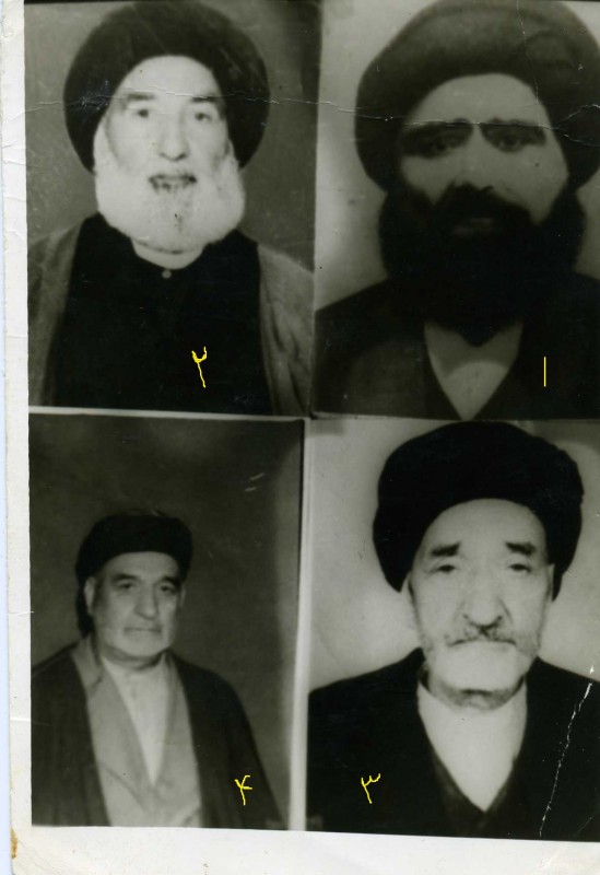 سادات موسوی