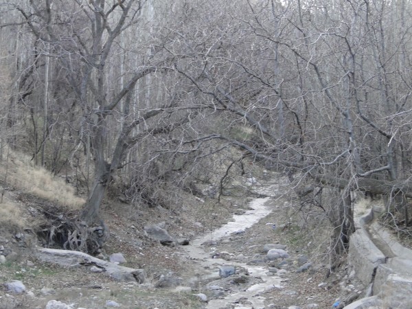 جدید ترین تصویر از طبیعت زیبای رودمعجن در آستانه شب یلدا