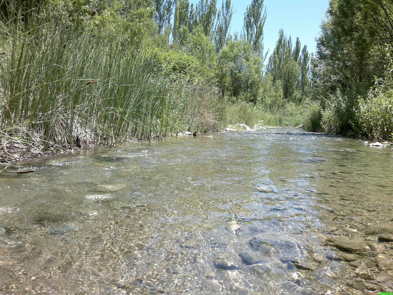 چند تا عکس آبدار از خرداد ماه رودمعجن!