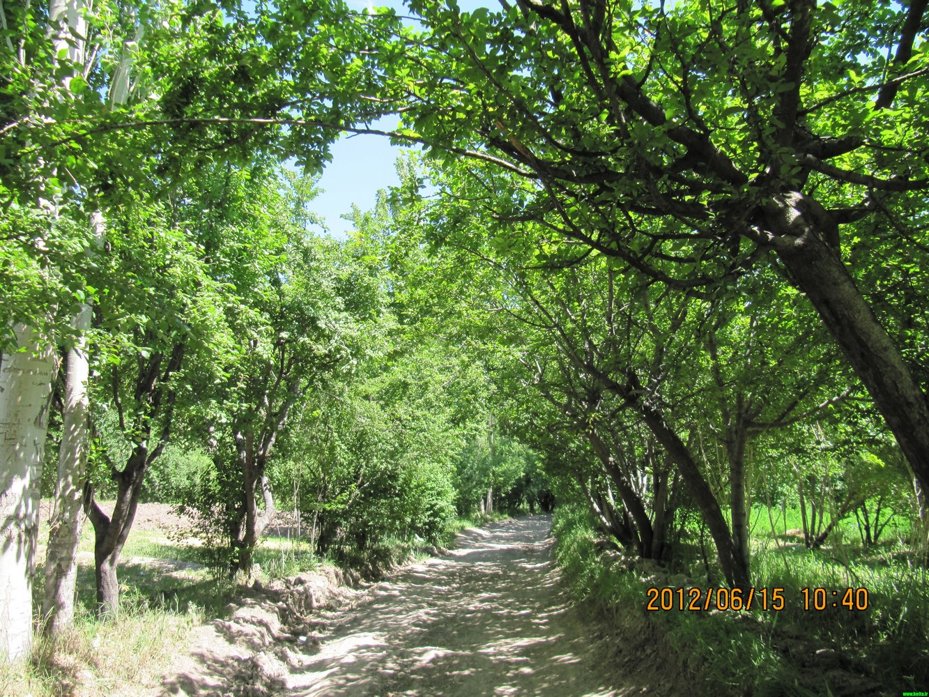 یاد دوران قندانهای پارچه ای بخیر