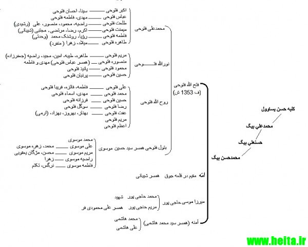 fotoohi_family tree 33